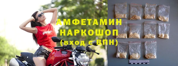 индика Киренск