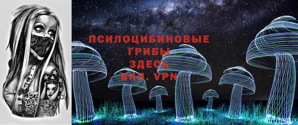 индика Киренск