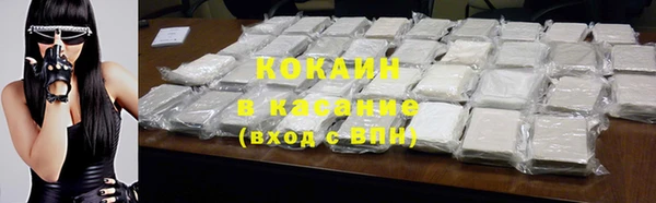 индика Киренск