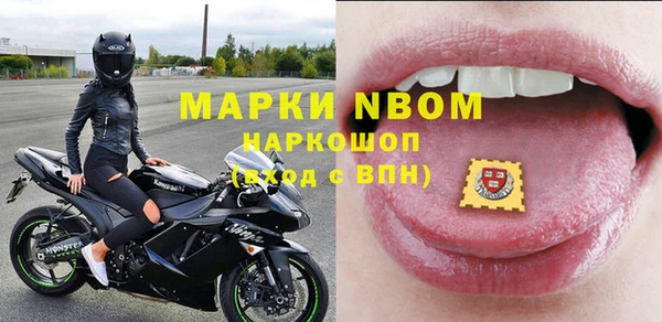 индика Киренск