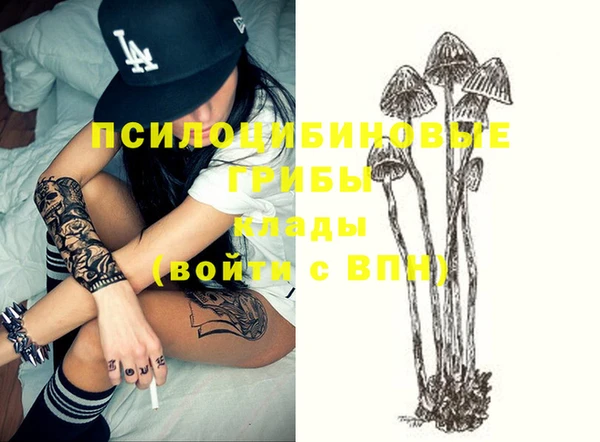 индика Киренск