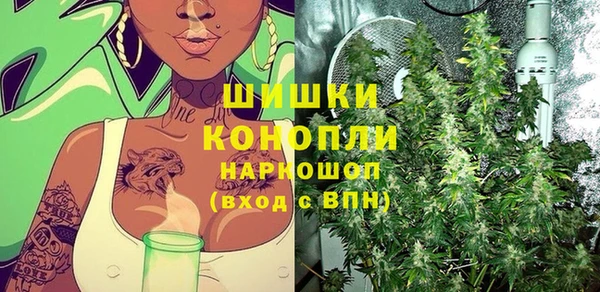 индика Киренск