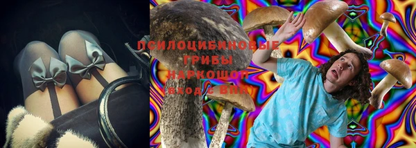 индика Киренск