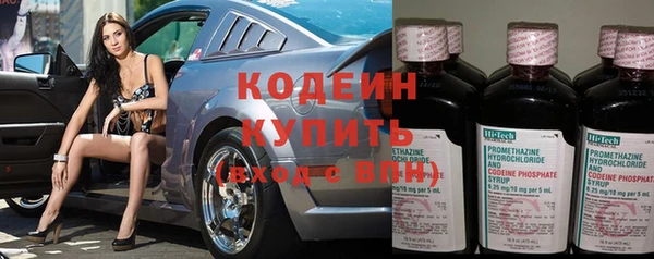 индика Киренск
