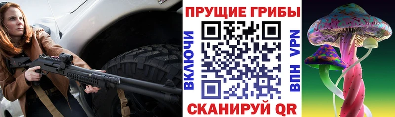 Галлюциногенные грибы мицелий  Купить закладки  Чегем 